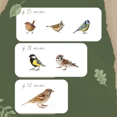 Caja nido para pajaros MASGAMES SPARROW