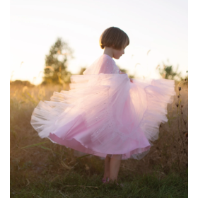 Disfraz Princesa Rosa Elegante 3-4 Años 2