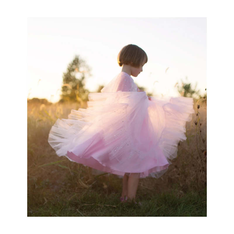 Disfraz Princesa Rosa Elegante 3-4 Años