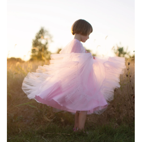 Disfraz Princesa Rosa Elegante 3-4 Años