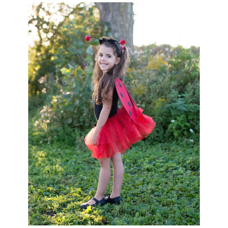 Disfraz Mariquita 4-6 Años