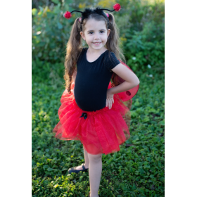 Disfraz Mariquita 4-6 Años 2