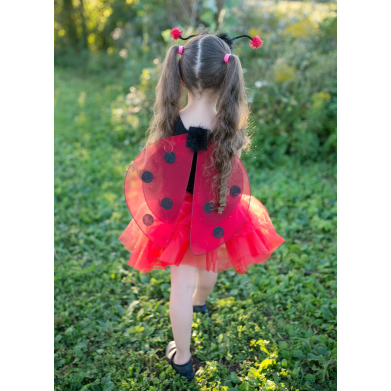 Disfraz Mariquita 4-6 Años
