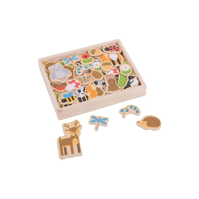 Imanes De Madera El Bosque De Bigjigs Toys