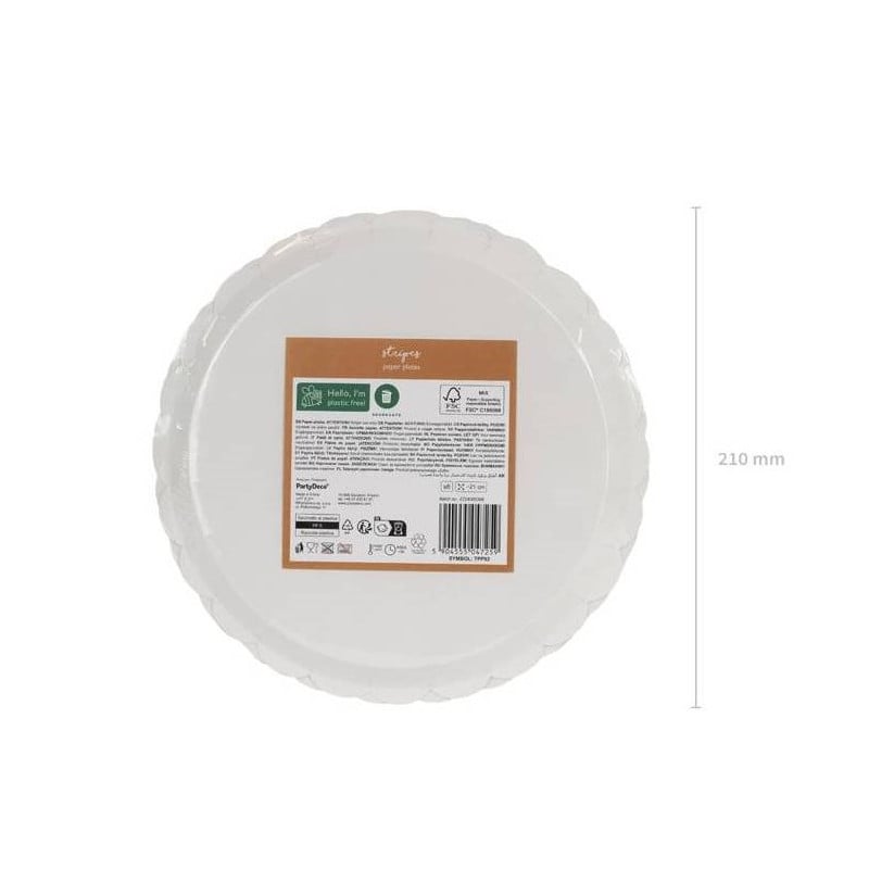 Platos Rayados 6 Unidades