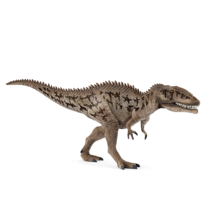 Carcharodontosaurus De Schleich