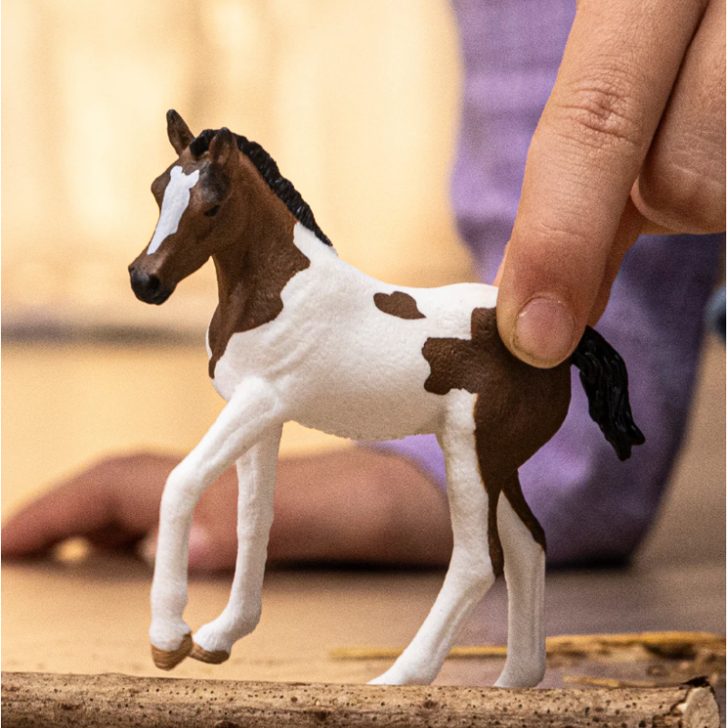 Potro Paint Horse