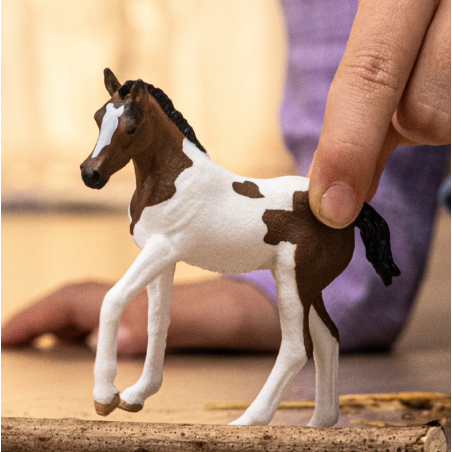 Potro Paint Horse