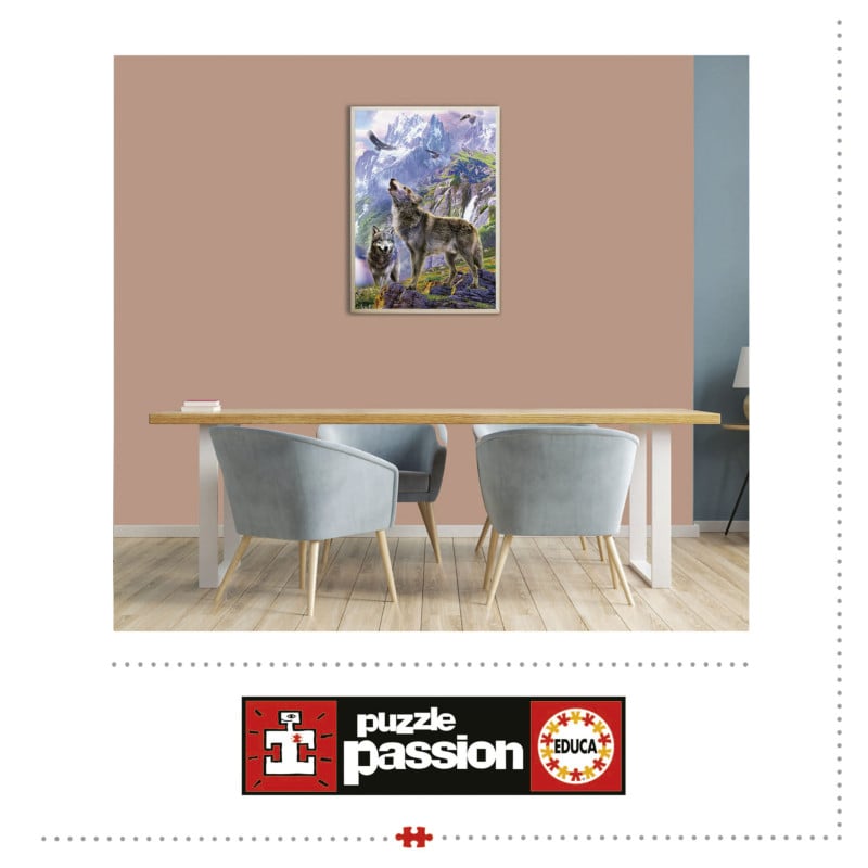 500 Lobos En Las Rocas