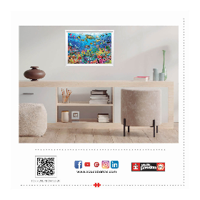 1000 Tortugas En El Paraíso 2