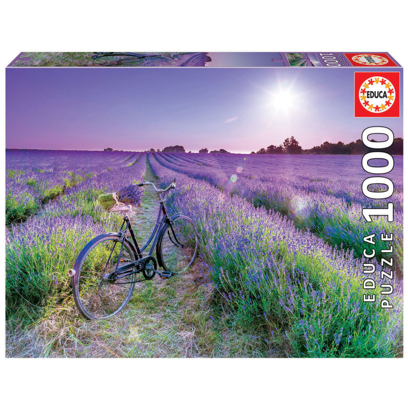 1000 Bicicleta Campo De Lavanda