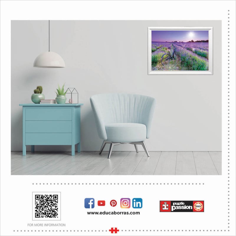 1000 Bicicleta Campo De Lavanda