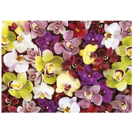 Puzzle Collage De Orquídeas 1000 Pzs