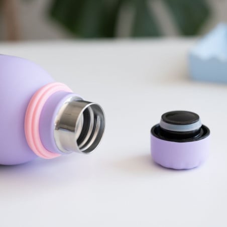 Botella Metálica Pusheen Moments 500 Ml