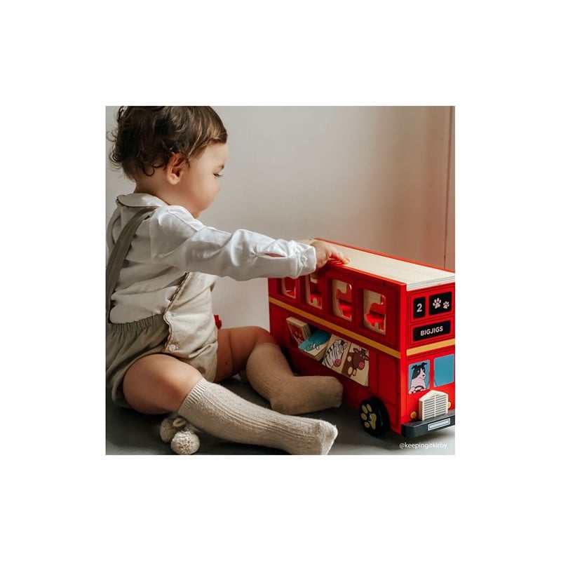 Autobús Rojo Animales