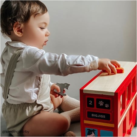 Autobús Rojo Animales