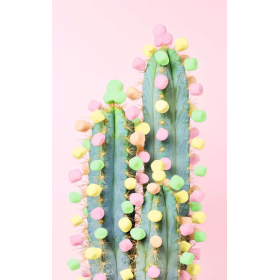 Puzzle Cactus 200 Pzs De Ravensburger 2