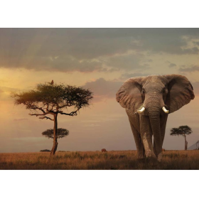 Puzzle Elefante De Los Masai Ma 1000 Pzs De Ravensburger 2