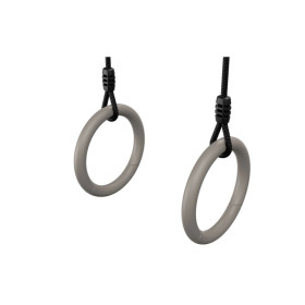 Anillas de Gimnasia para los columpios BERG PlayBase 