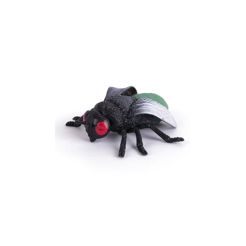 Squeeze Me Insects World