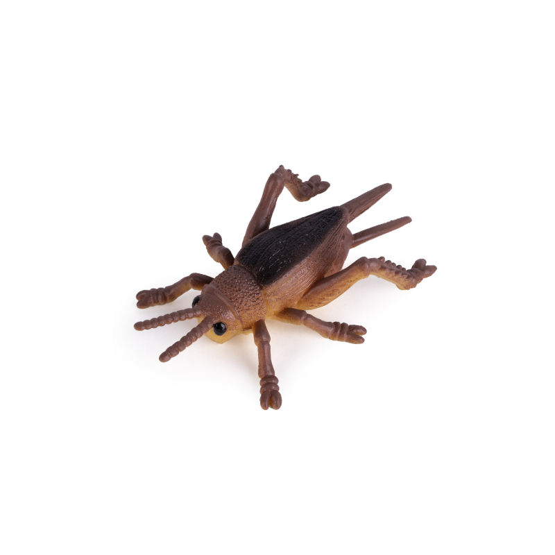 Squeeze Me Insects World