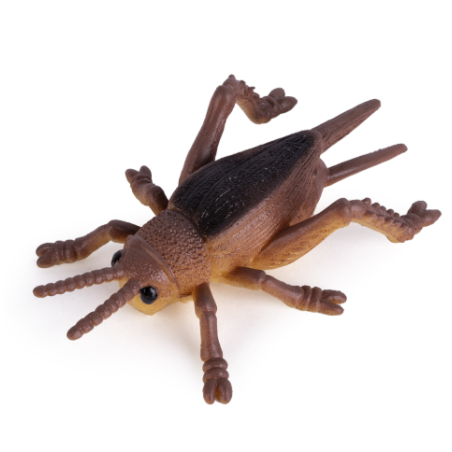 Squeeze Me Insects World