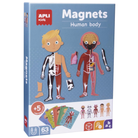 El Cuerpo Humano Magnético De Apli