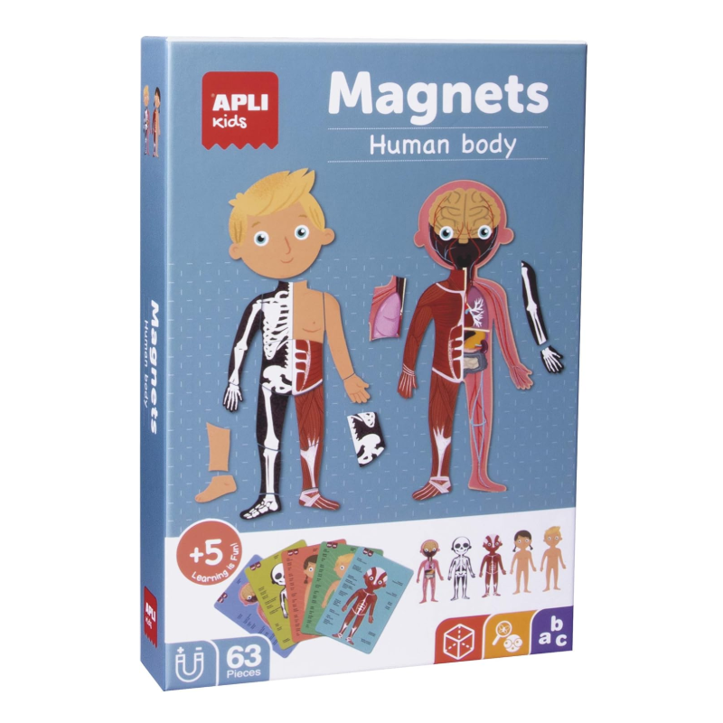 El Cuerpo Humano Magnético De Apli