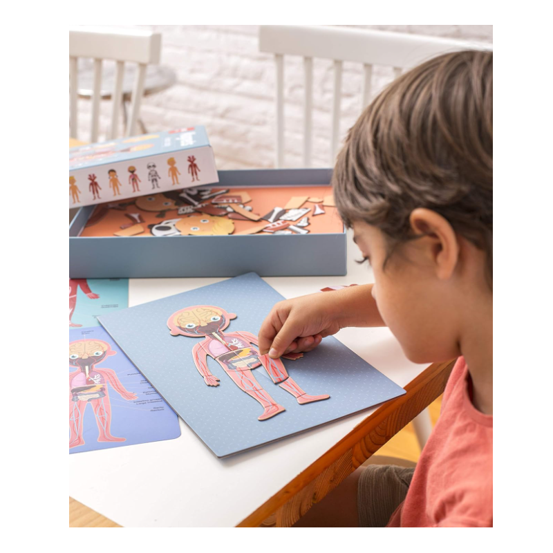 El Cuerpo Humano Magnético