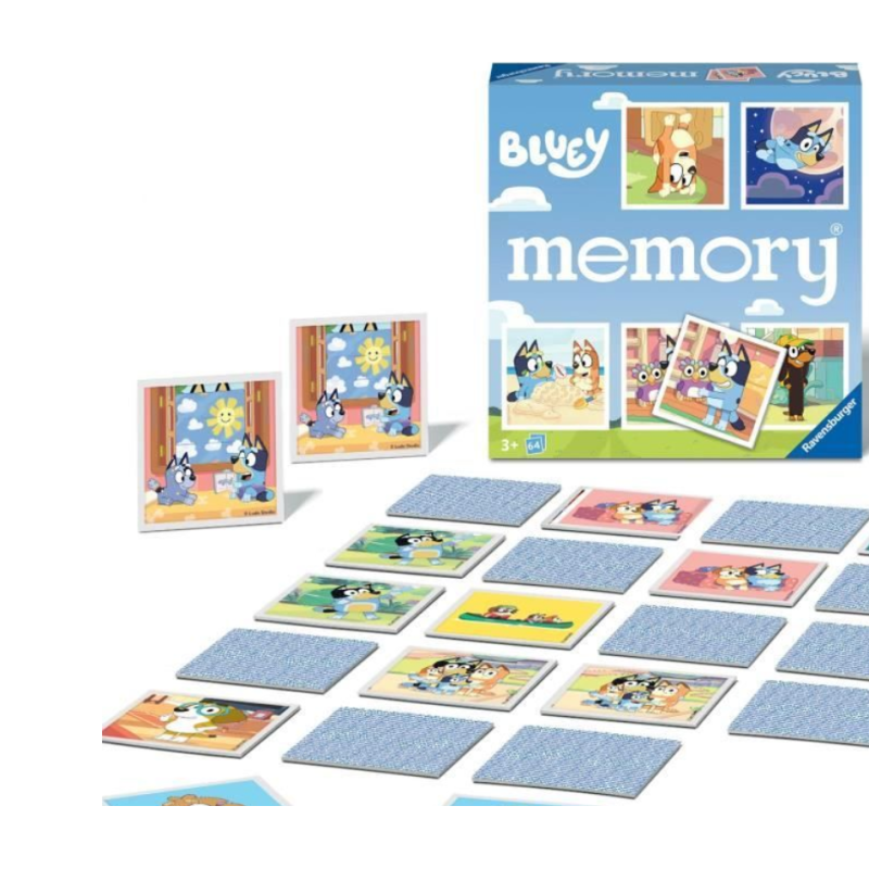 Memory Bluey