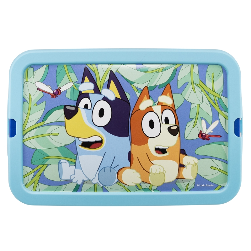 Caja Bluey 7L