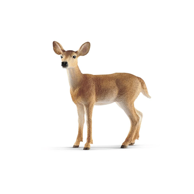 Schleich Ciervo De Cola Blanca Hembra
