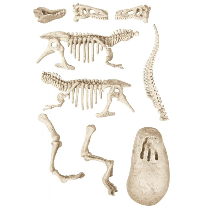 Arquejugando T-Rex Fosforescente
