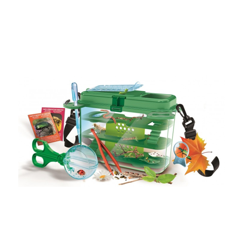 La Casa De Los Insectos