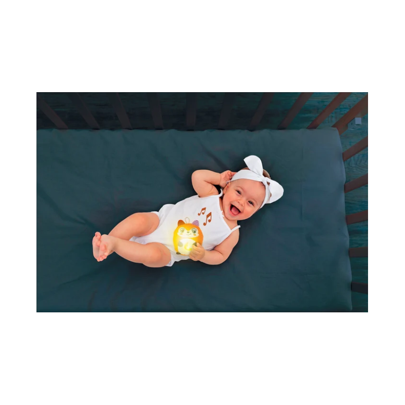 Twinkle Twinkle Little Fox