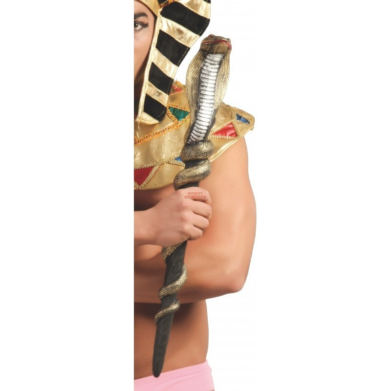 CETRO SERPIENTE 65 CM