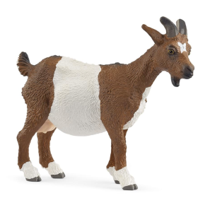 Cabra
