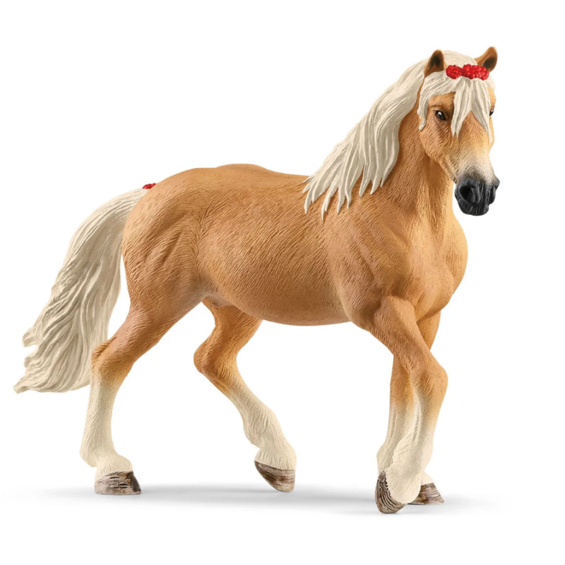Yegua Haflinger
