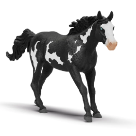 Caballo Capón Paint Horse