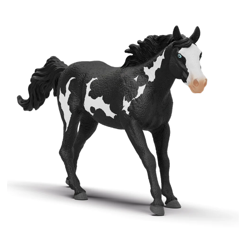 Caballo Capón Paint Horse