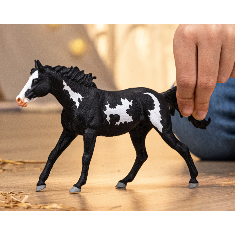 Caballo Capón Paint Horse