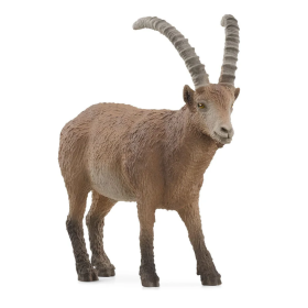 Cabra Montesa