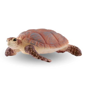 Tortuga Carey