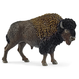 Bisonte