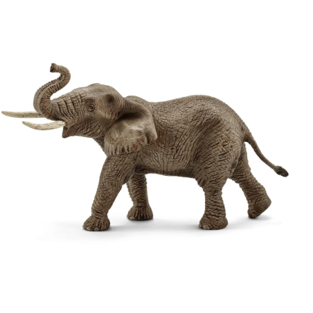 Elefante Africano Macho