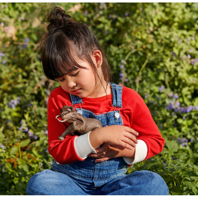 Elefante Africano Macho