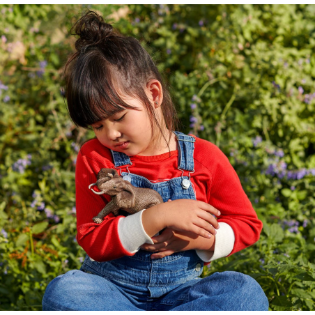 Elefante Africano Macho