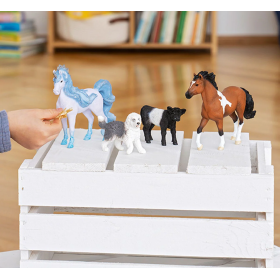 Semental Mangalarga Marchador 2