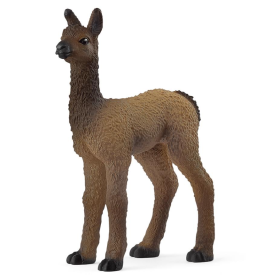 Potro De Llama
