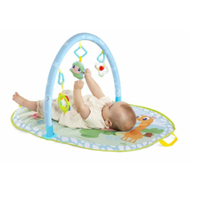 Mi Primer Gimnasio Molto